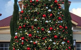 30’ Pre Decorated Tree with Starburst Tree Topper