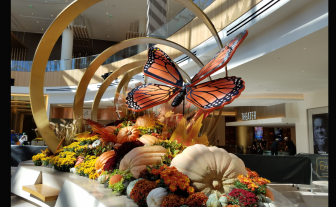 Seasonal Autumn Transformation for Premier Gaming & Hospitality Venue