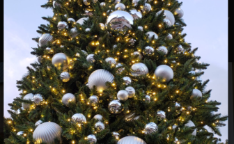 24’ Fully Decorated Signature Christmas Tree for Shopping Center Client