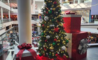 Custom-Designed Photo Experience for Premier Mall Client