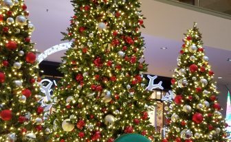 Santa Reception Area Refresh for Premier Property