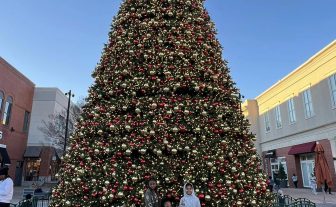 50’ Pre Decorated Tree – Daytime View