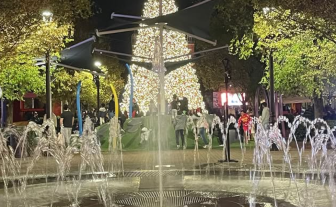 50’ Pre-Decorated Tree – Evening View